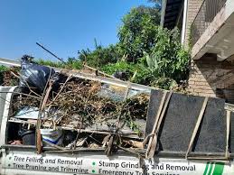 Best Junk Removal for Events  in Risg Sun, IN